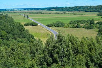 Road fields forest