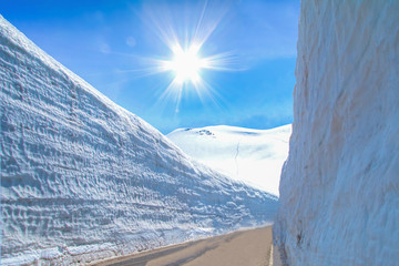  The snow mountains wall of Tateyama Kurobe alpine  with blue sky  background is  one of the most important and popular natural place in Toyama Prefecture, Japan.