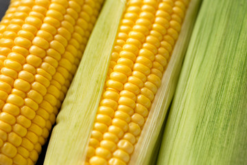 Fresh corn vegetable.