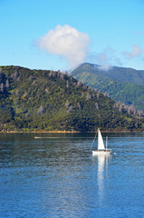 Fototapeta na wymiar A sailboat in Marlborough Sounds