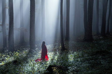 Red Riding Hood portrait in the autumn foggy forest