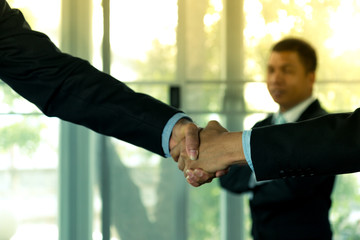 Businessmen shake hands and finish meeting in daylight.