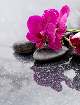 Spa background with pink orchid and stone.