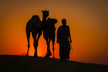 Silhouette of man and two camels at colorful sunset in Thar desert near Jaisalmer, Rajasthan, India