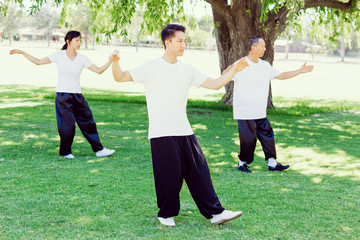 People practicing thai chi in park