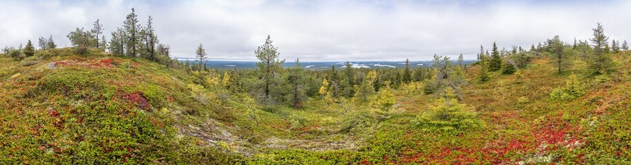Fototapeta na wymiar Mountains, forests, lakes panoramic view in autumn. Fall colors - ruska time in Iivaara. Oulanka national park in Finland. Lapland, Nordic countries in Europe