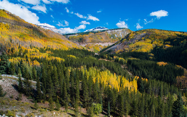 Fototapeta na wymiar Fall Colors in Colorado