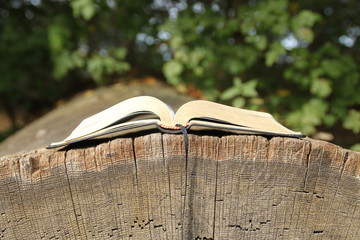 Offenes Buch in der Natur