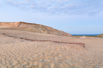 Sandy dunes in the fall time.