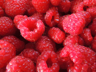 Fresh red raspberry fruits background