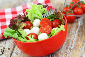 Bowl of mozzarella salad with cherry tomatoes and lettuce, closeup
