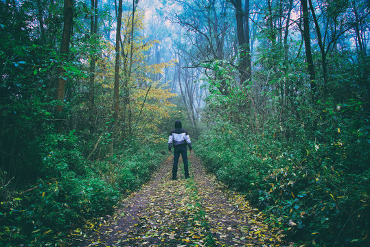 Fototapeta Man standing in the forest path and looking to the misty woods