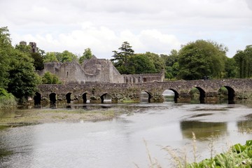 Old bridge in Ireland 
