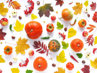Composition of a pumpkin and autumn leaves on a white background, flat layout, top view. Food background pattern. Autumn concept. Wallpaper of vegetables.