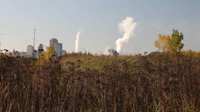 pollution
