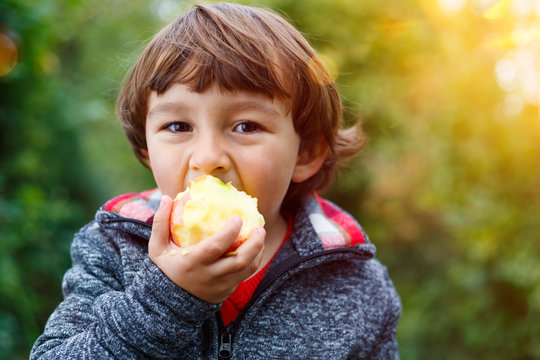Kleiner Junge Kind Apfel Obst Früchte essen draußen Herbst Natur gesunde Ernährung