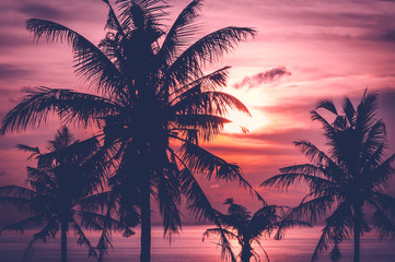Tropical sunset over sea with silhouette coconut palm trees, Thailand