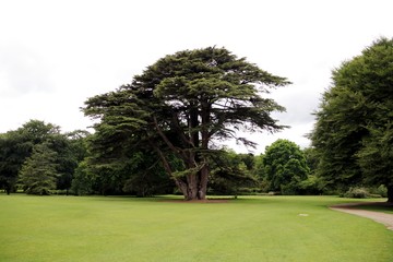 Malahide Castle & Garden in Dublin - Ireland  