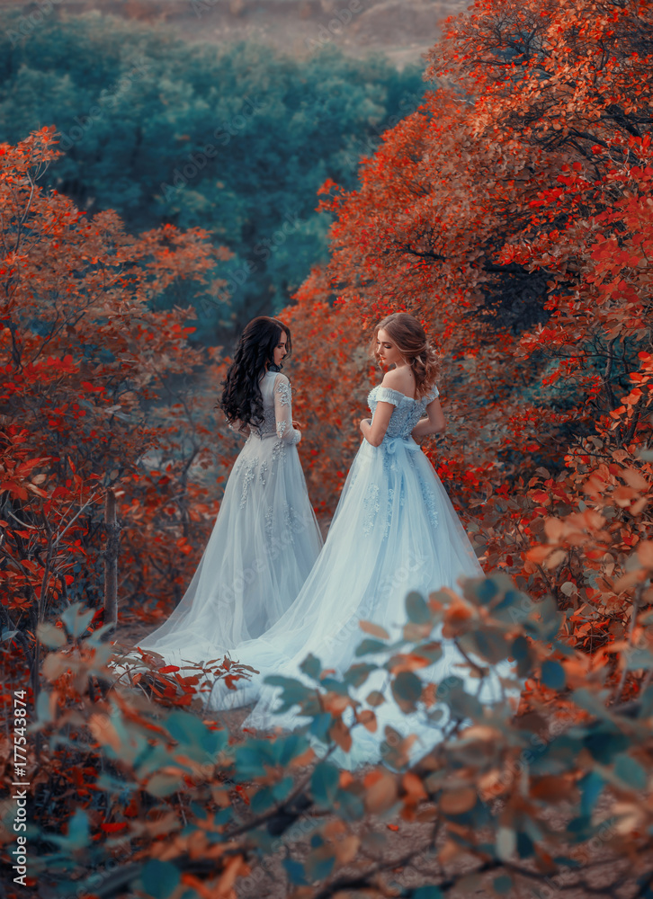 Wall mural two beautiful princess girls are walking in luxurious dresses with a long train. background beautifu