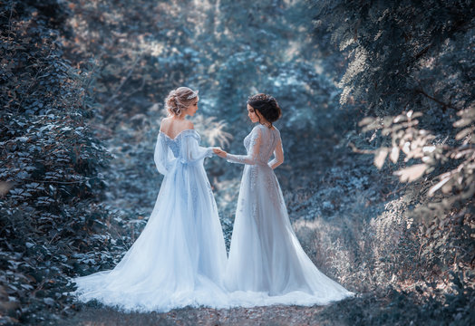 Two beautiful princess girls are walking in luxurious dresses with a long train. The background is beautiful nature in cold winter, artistic tones. Fairytale Photography
