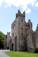 Fototapeta na wymiar Beautiful Castle in Ireland - Howth