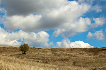 Landscape with beautiful fluffy clouds over autumn field