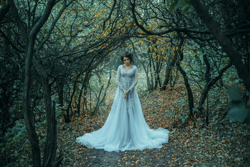 A young princess walks in a beautiful silver dress. The background is grim autumn nature. Artistic...