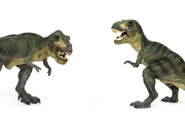 Shooting Hunt and Roaring of Tyrannosaurus (T-rex) Dinosaur isolated on white background.