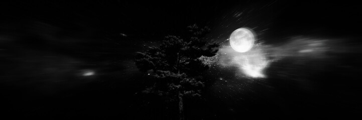 Spooky tree dark night with moon.