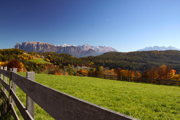 Fototapeta na wymiar Wiese in den Dolomiten im Herbst