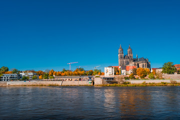Naklejka premium Golden Autumn in Magdeburg, Germany