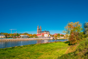 Fototapeta premium Golden Autumn in Magdeburg, Germany