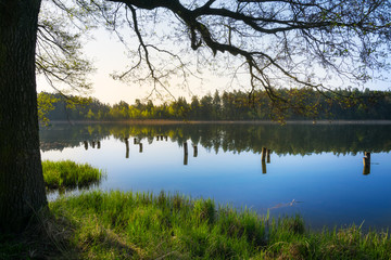 Fototapeta na wymiar Quiet lake - spring landscape. Masuria, Poland.