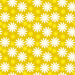 seamless camomile vector pattern background