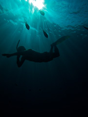 Snorkeling in the blue