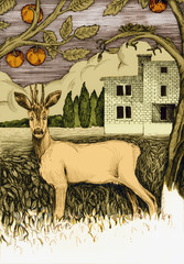 Sarna na tle pejzażu, ilustracja © Tomasz Mazur