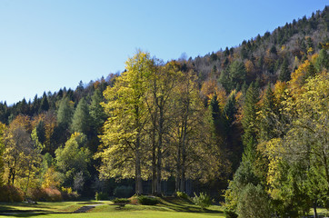 Fototapeta na wymiar Kurpark in Mittenwald