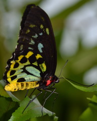 Natures Beauty as a Whole