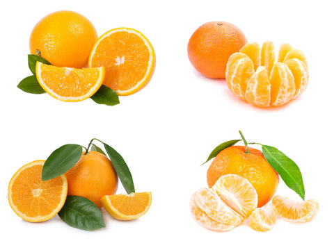 Citrus fruit. Orange