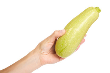 green fresh organic zucchini in hand isolated on white background
