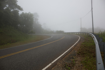 Thick Fog over Curved Road Makes Driving Conditions Dangerous
