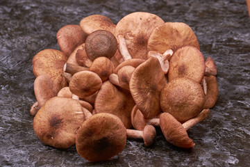 a lot of mushrooms
