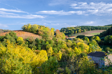 autumn colors in Beaujolais