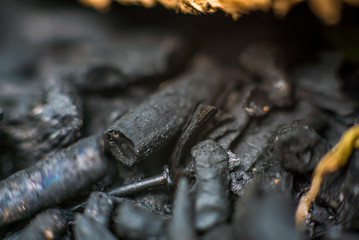 Black coal macro