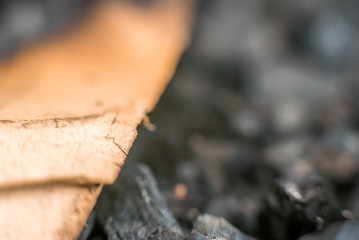 Part of burnt old book page close up macro