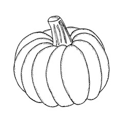 Pumpkin, liner