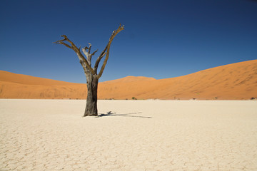 DeadVlei