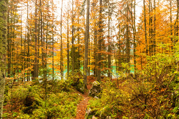 Obraz premium Autumn morning in the alps