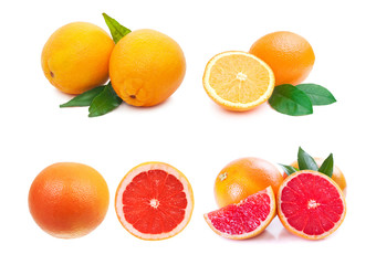 Citrus fruit collection. Orange, grapefruit oh white background