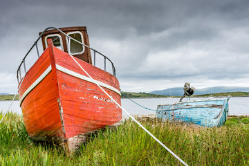 The prows of two wrecks of old wooden fishing boats, one red and one blue, stranded on the coast...